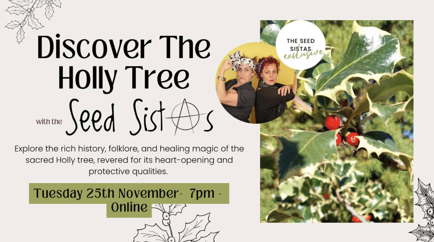 Discover The Holly Tree with the Seed Sistas